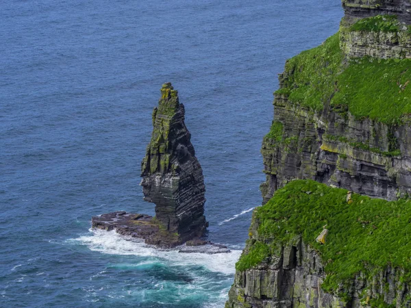 Świecie słynnych klifów Moher na atlantyckim wybrzeżu Irlandii — Zdjęcie stockowe