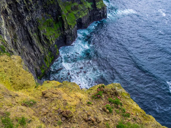Scogliere di Moher famose in tutto il mondo sulla costa atlantica dell'Irlanda — Foto Stock