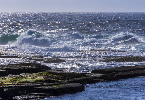 岩石海岸的野生大西洋海水 — 图库照片
