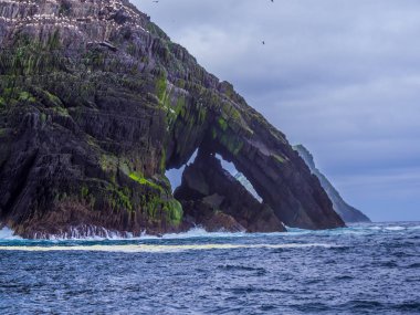 Şaşırtıcı martı Adası'nda Skelligs Adaları - 70000 kuşlar için ev