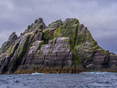 Harika Skellig Michael Adası - İrlanda Skelligs