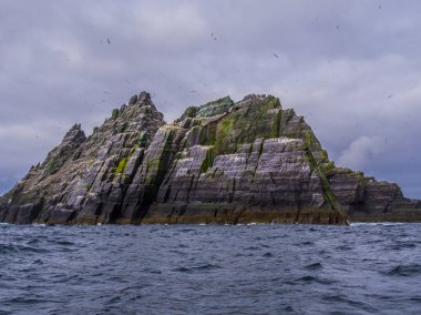 Harika Skellig Michael Adası - İrlanda Skelligs