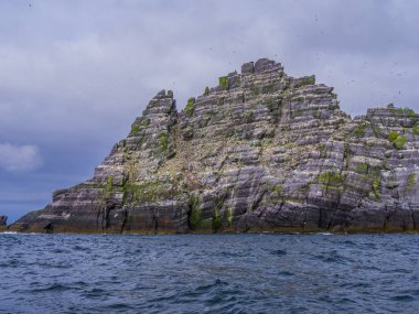 İrlanda - martı Adası onun şaşırtıcı yaban hayatı ile Skellig Adaları