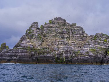 İrlanda - martı Adası onun şaşırtıcı yaban hayatı ile Skellig Adaları