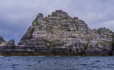 İrlanda - martı Adası onun şaşırtıcı yaban hayatı ile Skellig Adaları