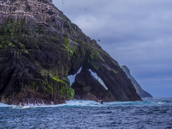 Geweldige Puffin-eiland op de Skelligs eilanden - huis voor 70000 vogels — Stockfoto