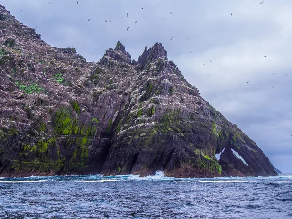 Şaşırtıcı martı Adası'nda Skelligs Adaları - 70000 kuşlar için ev