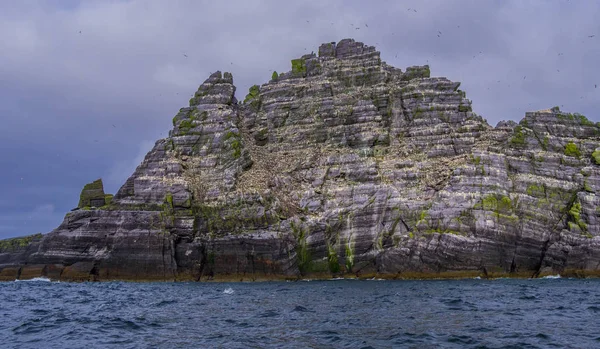 İrlanda - martı Adası onun şaşırtıcı yaban hayatı ile Skellig Adaları