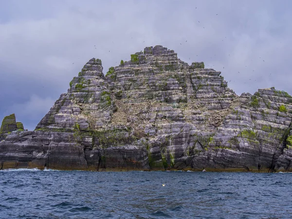 İrlanda - martı Adası onun şaşırtıcı yaban hayatı ile Skellig Adaları