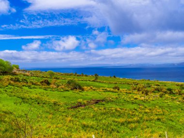 Güzel doğa ve yeşillik, Dingle Yarımadası İrlanda