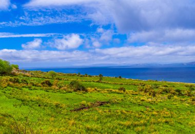 Güzel doğa ve yeşillik, Dingle Yarımadası İrlanda