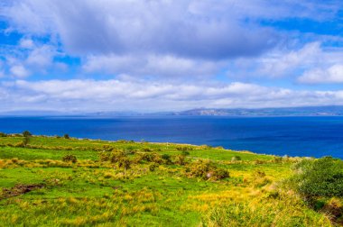 Güzel doğa ve yeşillik, Dingle Yarımadası İrlanda