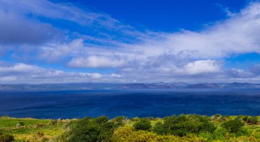Güzel doğa ve yeşillik, Dingle Yarımadası İrlanda