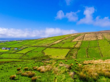 İrlanda - Dingle Yarımadası üzerinde tipik görünümü yeşil tepeler