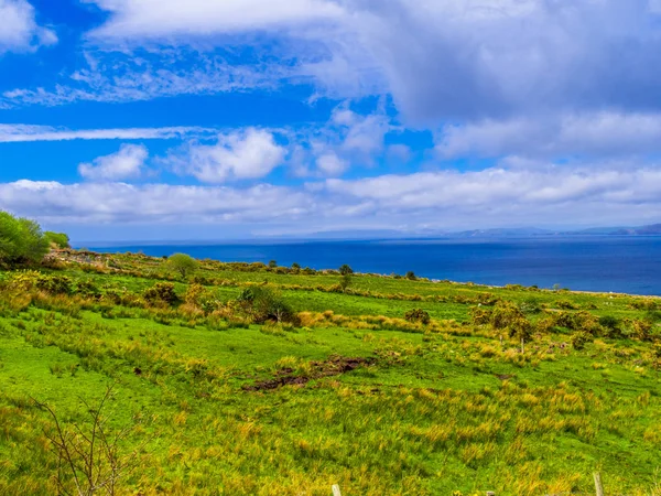 Güzel doğa ve yeşillik, Dingle Yarımadası İrlanda
