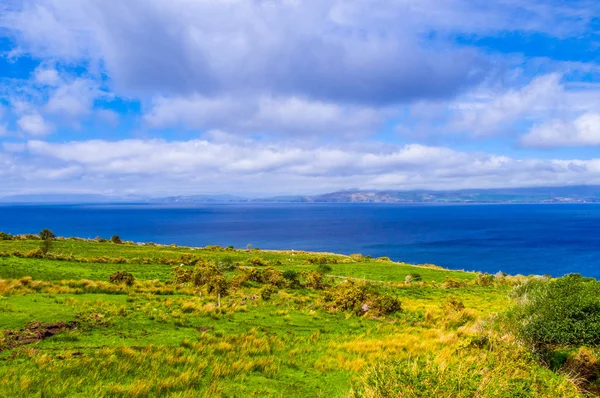 Güzel doğa ve yeşillik, Dingle Yarımadası İrlanda