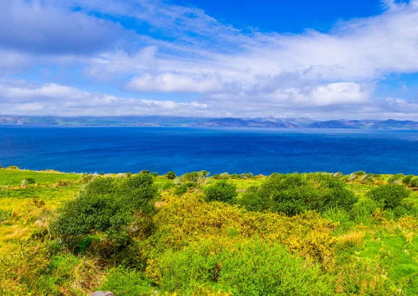 Hermosa naturaleza y verdes en la península de Dingle Irlanda —  Fotos de Stock