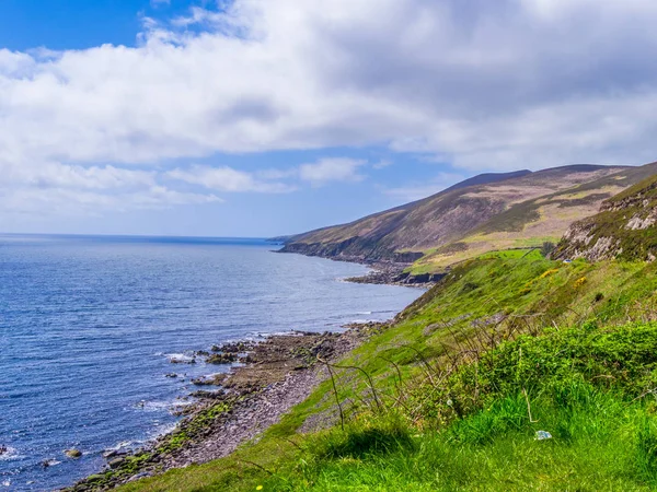 Vacker natur och greenerna på Dinglehalvön Irland — Stockfoto