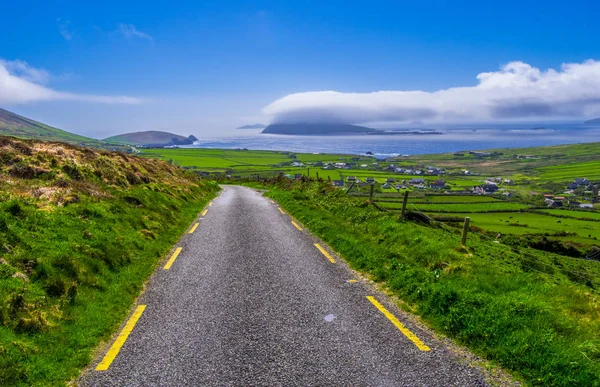 Wunderschöne Natur und Grüns auf der Dingle Halbinsel Irland — Stockfoto