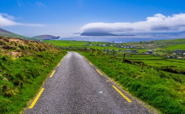 Güzel doğa ve yeşillik, Dingle Yarımadası İrlanda