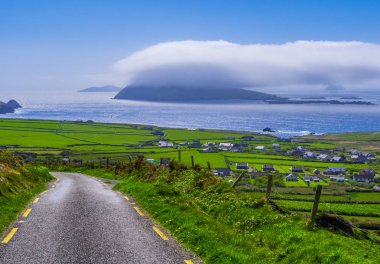 Güzel doğa ve yeşillik, Dingle Yarımadası İrlanda