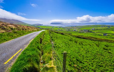Güzel doğa ve yeşillik, Dingle Yarımadası İrlanda
