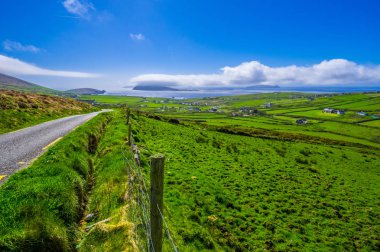 Güzel doğa ve yeşillik, Dingle Yarımadası İrlanda