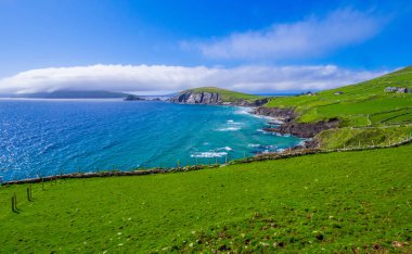 Güzel doğa ve yeşillik, Dingle Yarımadası İrlanda
