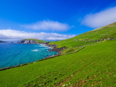 Güzel doğa ve yeşillik, Dingle Yarımadası İrlanda