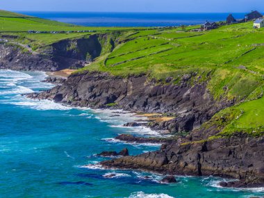 Dingle Yarımadası'nda yaban Atlantik yol harika İrlandalı sahilde