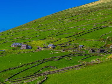 Güzel doğa ve yeşil tepeler Dingle Yarımadası'nda İrlanda