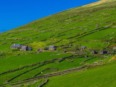 Güzel doğa ve yeşil tepeler Dingle Yarımadası'nda İrlanda