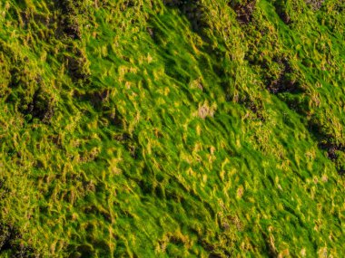 İrlanda - yeşil çim tepeler için tipik