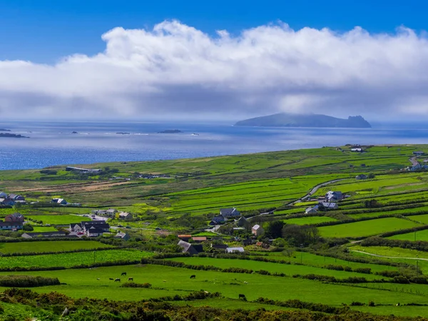 Belle nature et verdure à Dingle Peninsula Irlande — Photo