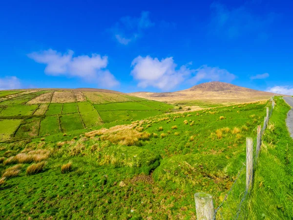 Όμορφη φύση και χόρτα σε Ιρλανδία χερσονήσου Dingle — Φωτογραφία Αρχείου