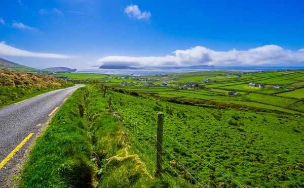 美しい自然とアイルランドのディングル半島の緑 — ストック写真