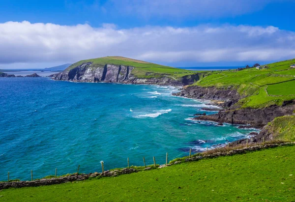 Prachtige natuur en de Groenen op schiereiland Dingle, Ierland — Stockfoto