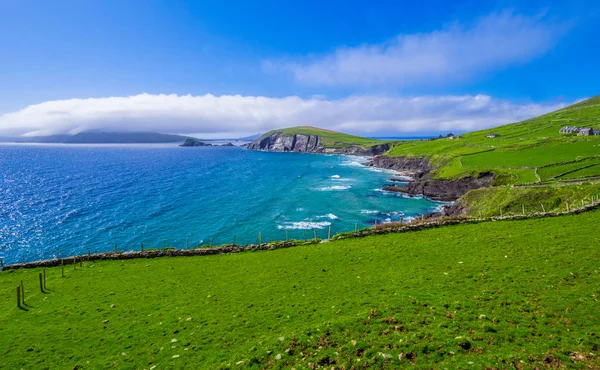 Krásná příroda a zeleň na poloostrově Dingle, Irsko — Stock fotografie