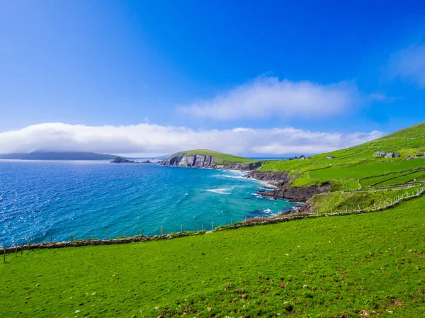 Collines vertes et eaux bleues de l'océan - typiques de la côte ouest irlandaise — Photo
