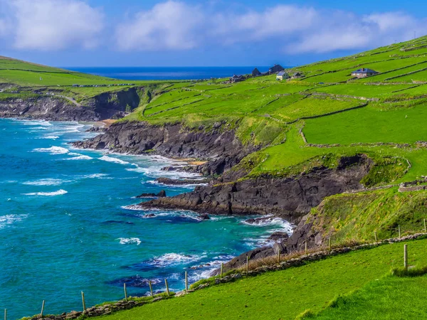 Dingle Yarımadası'nda yaban Atlantik yol harika İrlandalı sahilde