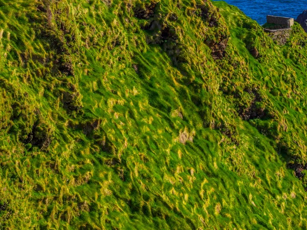 Típico para a Irlanda - as colinas de grama verde — Fotografia de Stock