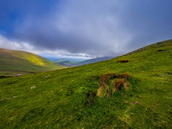 İrlanda - güzel manzara yeşil çim tepeler