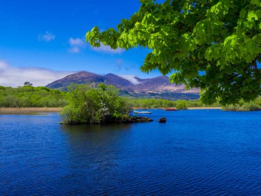 Pastoral Gölü, Killarney Milli Parkı