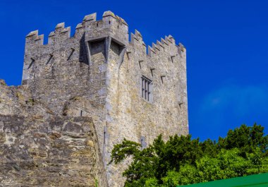 Killarney - ünlü bir dönüm noktası kalede Ross