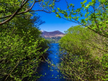 Killarney Milli Parkı - İrlanda güzel bir yer