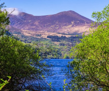 Killarney Milli Parkı - İrlanda güzel bir yer