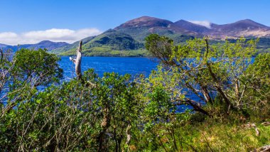 Killarney Milli Parkı - İrlanda güzel bir yer