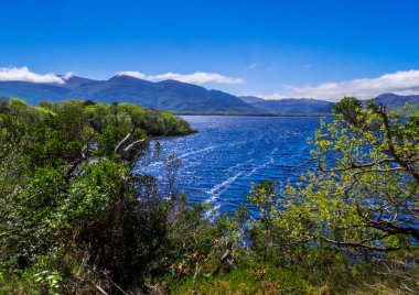 Derin mavi göl, Killarney Milli Parkı - bir pastoral romantik yer şaşırtıcı