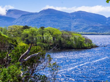 Derin mavi göl, Killarney Milli Parkı - bir pastoral romantik yer şaşırtıcı