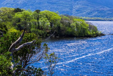 Derin mavi göl, Killarney Milli Parkı - bir pastoral romantik yer şaşırtıcı